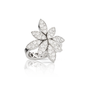 Pasquale Bruni GHIRLANDA LUCE DI LOTO RING SIZE 12