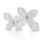 Pasquale Bruni BAGUE GIARDINI SEGRETI