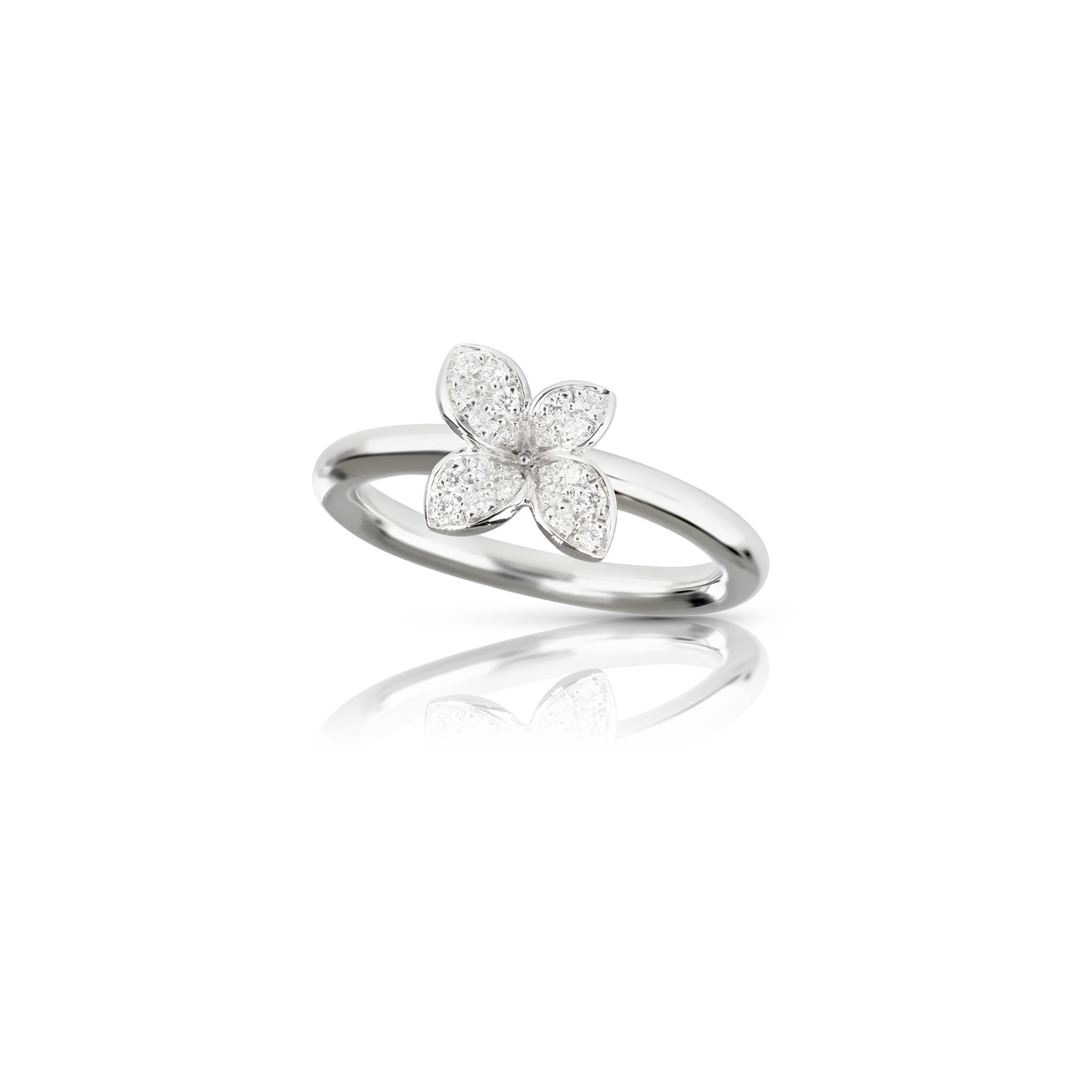 Petit garden ring
