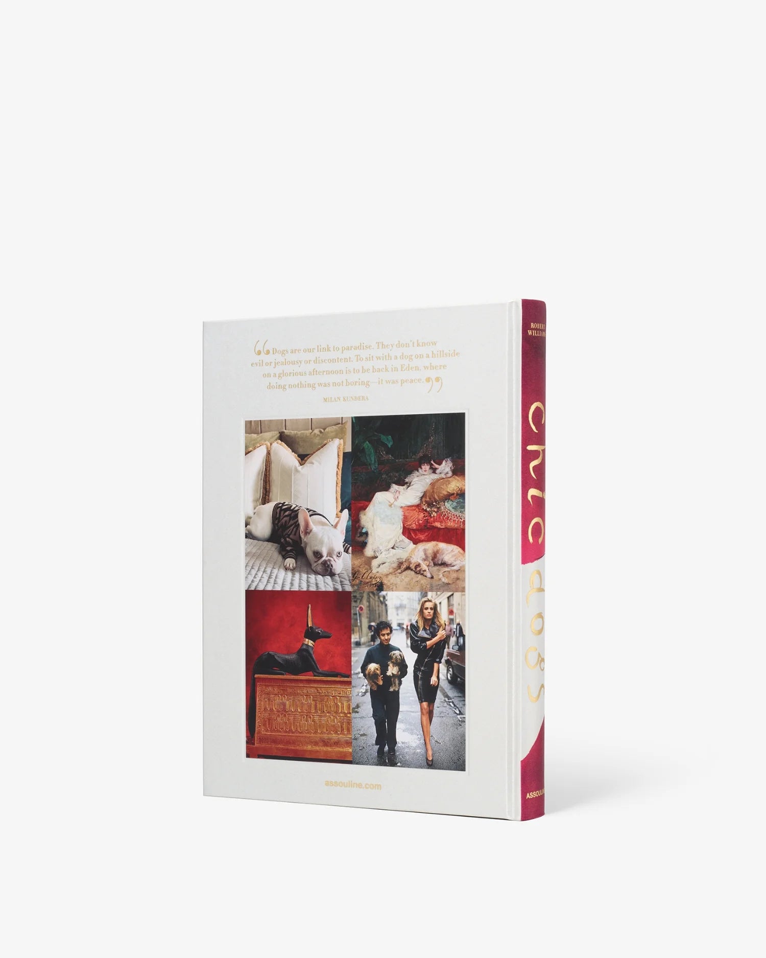 Assouline CHIC DOGS