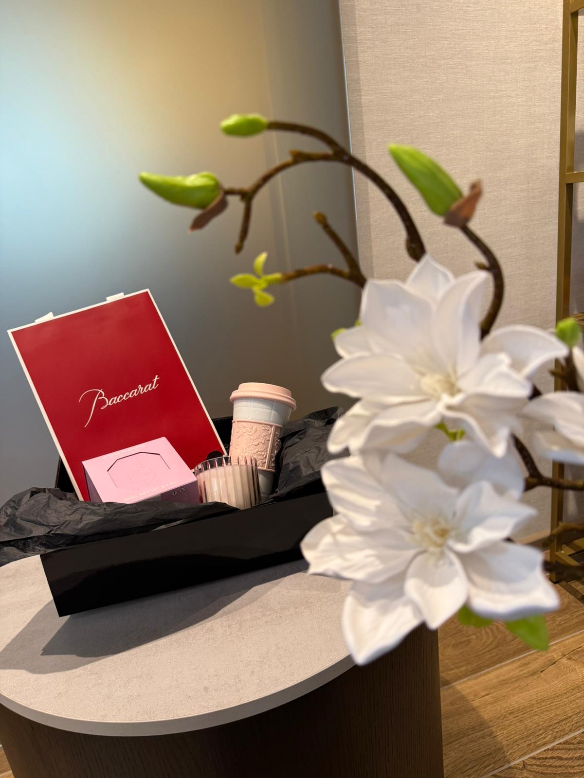 Baccarat TENDRE BRUYÈRE & BERNARDAUD NOMAD MUG – LOUVRE PINK SET