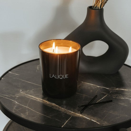 Fig Tree Amalfi Italy Scented Candle 600g